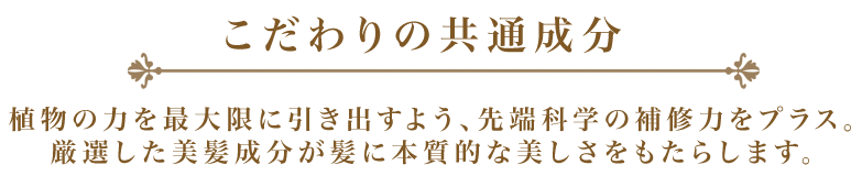 共通成分